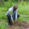 Tree Plantation at GA Bungalow